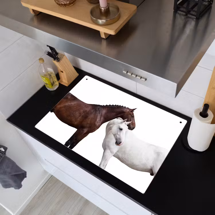 Paard - Modern - Balans Inductie beschemer met haakjes klein -sfeer1