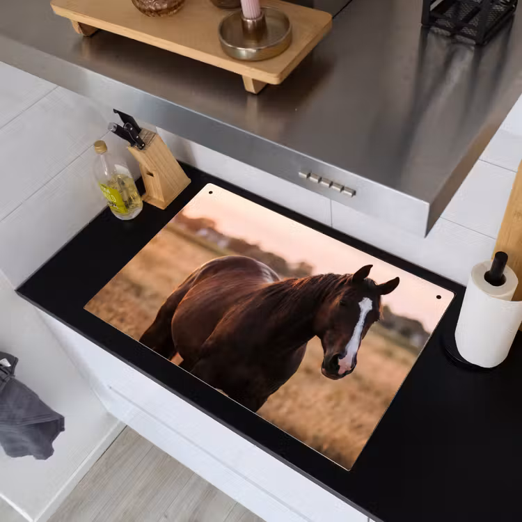 Paard - Zonsondergang - Bruin Inductie beschemer met haakjes klein -sfeer1