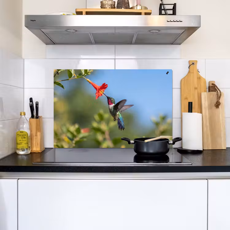 Kolibrie - Bloem - Natuur - Groen Inductie beschemer met haakjes klein -sfeer2