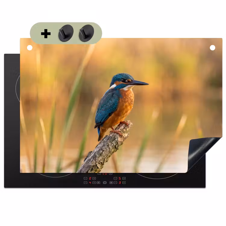 IJsvogel - Tak - Water - Kleurrijk - Levendig Inductie beschemer met haakjes klein -3d