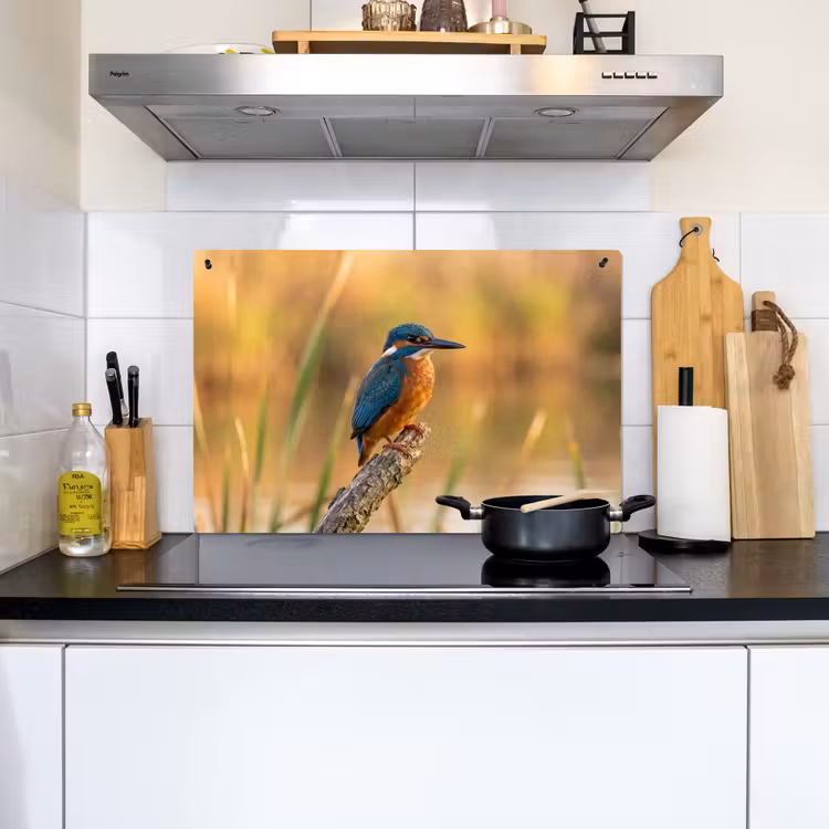 IJsvogel - Tak - Water - Kleurrijk - Levendig Inductie beschemer met haakjes klein -sfeer2