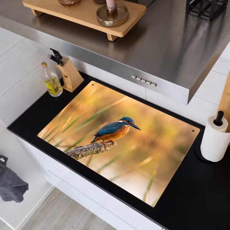 IJsvogel - Tak - Water - Kleurrijk - Levendig Inductie beschemer met haakjes klein -sfeer1
