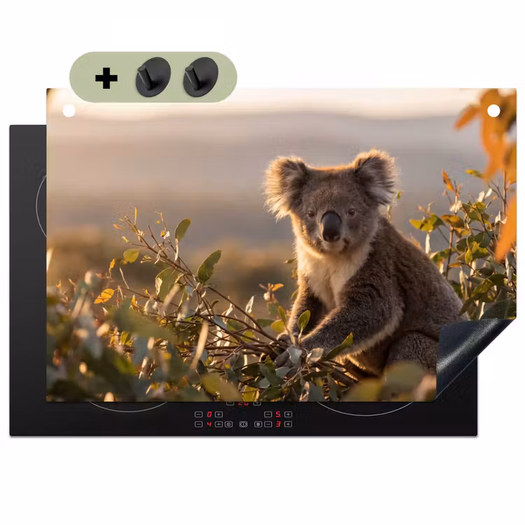 Koala - Bladeren - Ochtendlicht Inductie beschemer met haakjes klein -3d