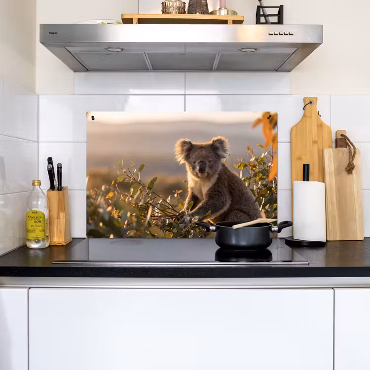Koala - Bladeren - Ochtendlicht Inductie beschemer met haakjes klein -sfeer2