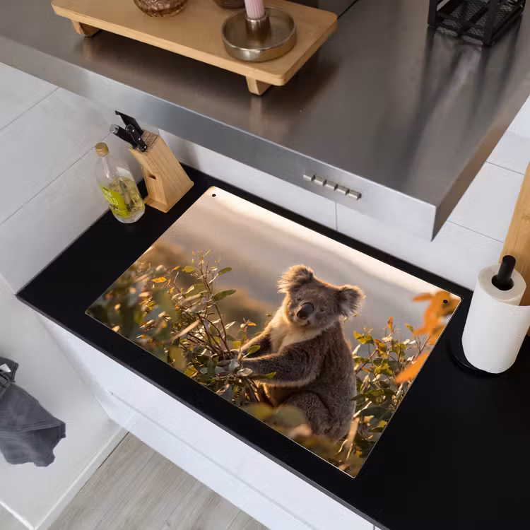 Koala - Bladeren - Ochtendlicht Inductie beschemer met haakjes klein -sfeer1