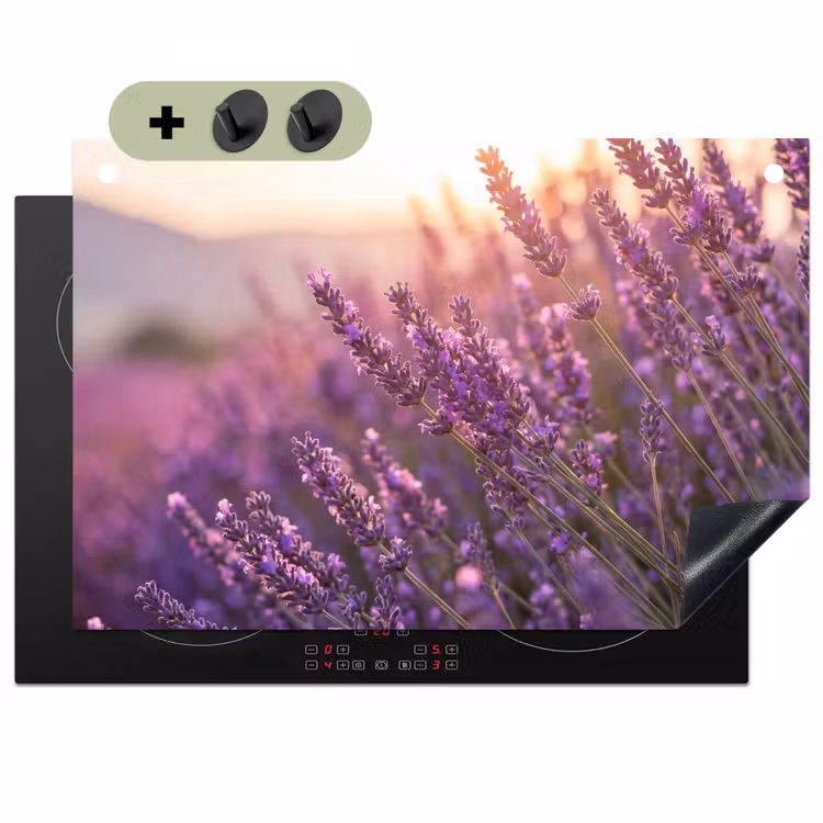 Lavendel - Paars - Zonlicht Inductie beschemer met haakjes klein -3d