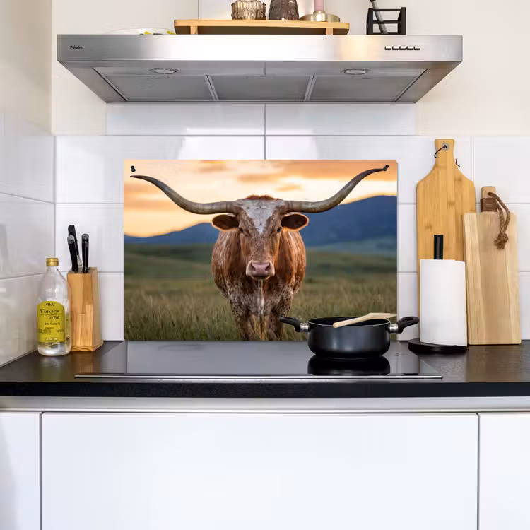 Longhorn - Landschap - Zonsondergang Inductie beschemer met haakjes klein -sfeer2