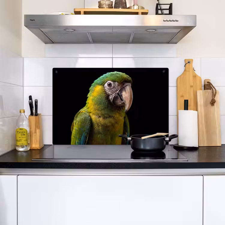 Ara - Portret - Groen Inductie beschemer met haakjes klein -sfeer2