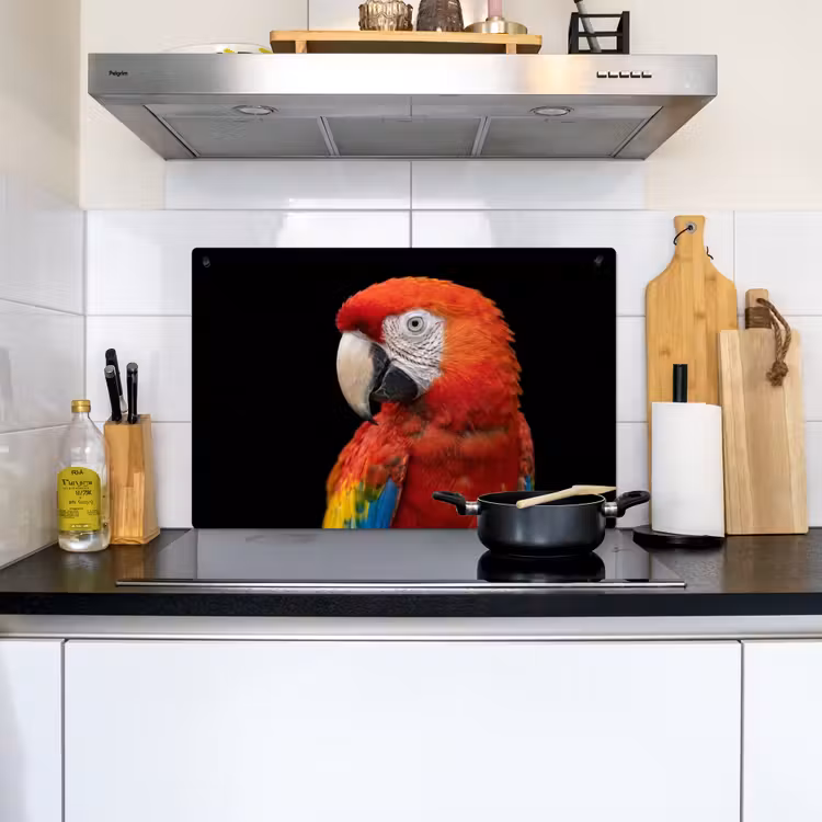 Ara - Portret - Rood Inductie beschemer met haakjes klein -sfeer2