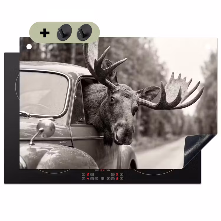 Eland - Auto - Gewei - Zwart - Wit Inductie beschemer met haakjes klein -3d