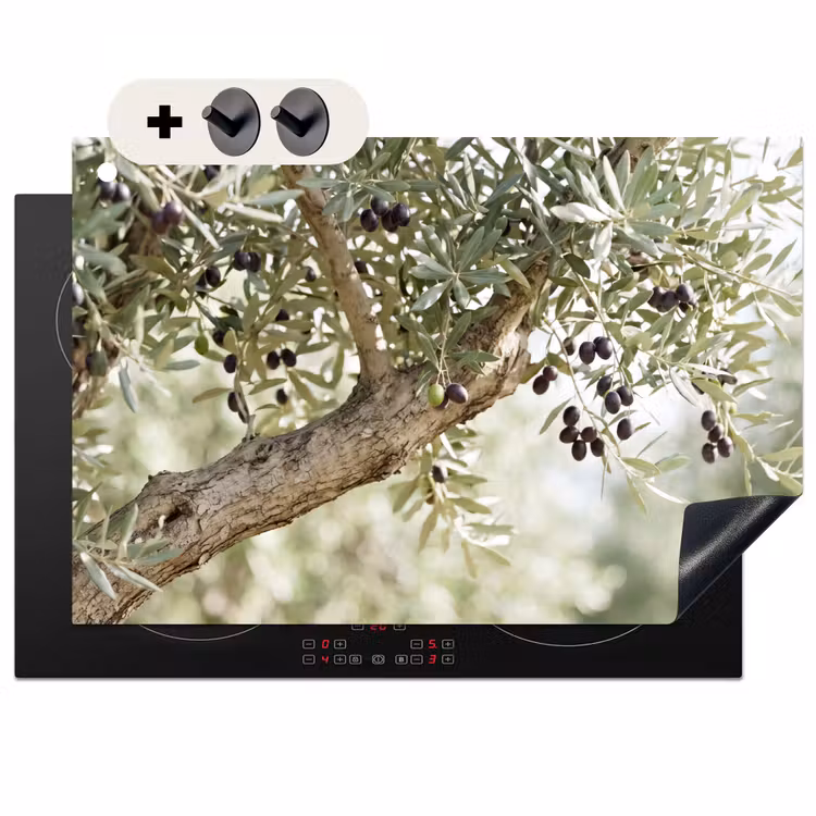 Induction Hob Cover & Splashback (2-in-1) - Olive tree - branch - green - Olijfboom - tak - groen Inductie beschemer met haakjes klein
