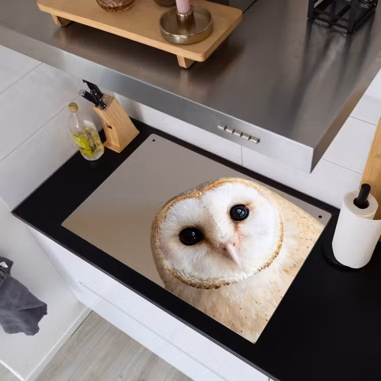 Uil - Bruin - Wit Inductie beschemer met haakjes klein -sfeer1
