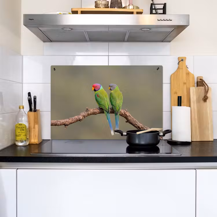 Papagaai - Tak - Natuur - Kleurrijk Inductie beschemer met haakjes klein -sfeer2