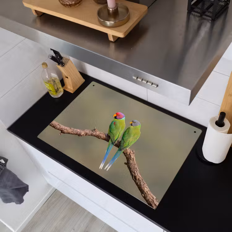 Papagaai - Tak - Natuur - Kleurrijk Inductie beschemer met haakjes klein -sfeer1