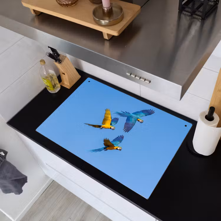 Papagaai - Vliegen - Blauw - Geel Inductie beschemer met haakjes klein -sfeer1