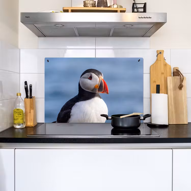 Papegaaiduiker - Portret - Natuur Inductie beschemer met haakjes klein -sfeer2