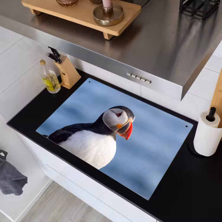 Papegaaiduiker - Portret - Natuur Inductie beschemer met haakjes klein -sfeer1