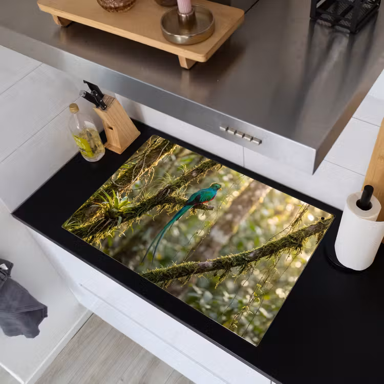Quetzal - Jungle - Natuur - Groen Inductie beschemer met haakjes klein -sfeer1