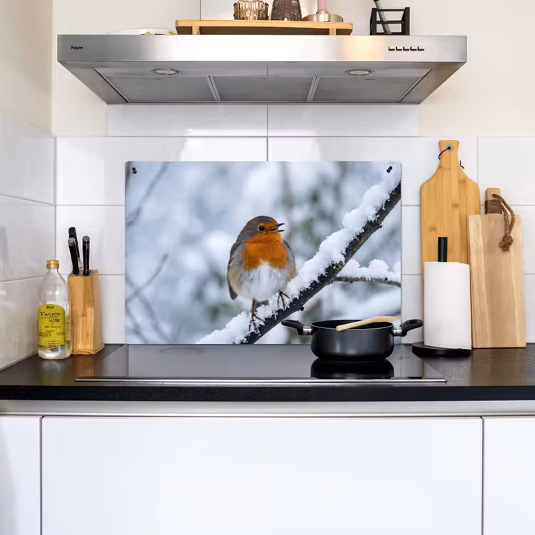 Roodborstje - Tak - Sneeuw - Winter - Levendig Inductie beschemer met haakjes klein -sfeer2