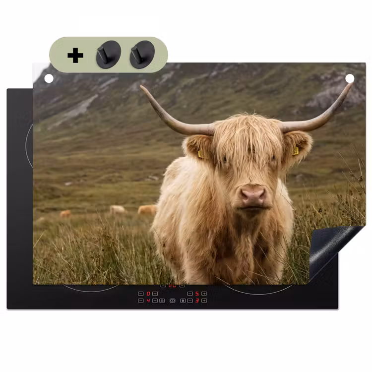Schotse hooglander - Bergen - Grasveld Inductie beschemer met haakjes klein -3d