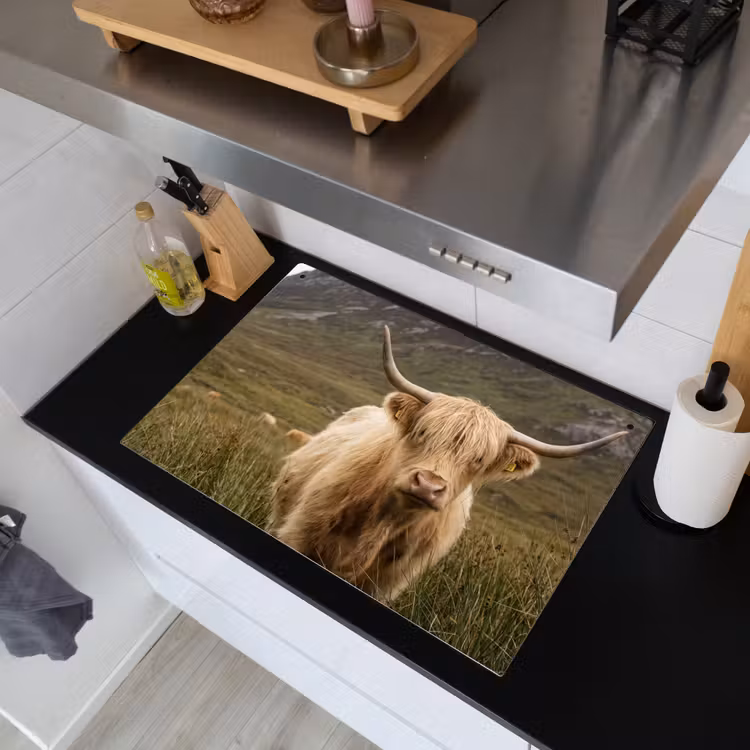Schotse hooglander - Bergen - Grasveld Inductie beschemer met haakjes klein -sfeer1