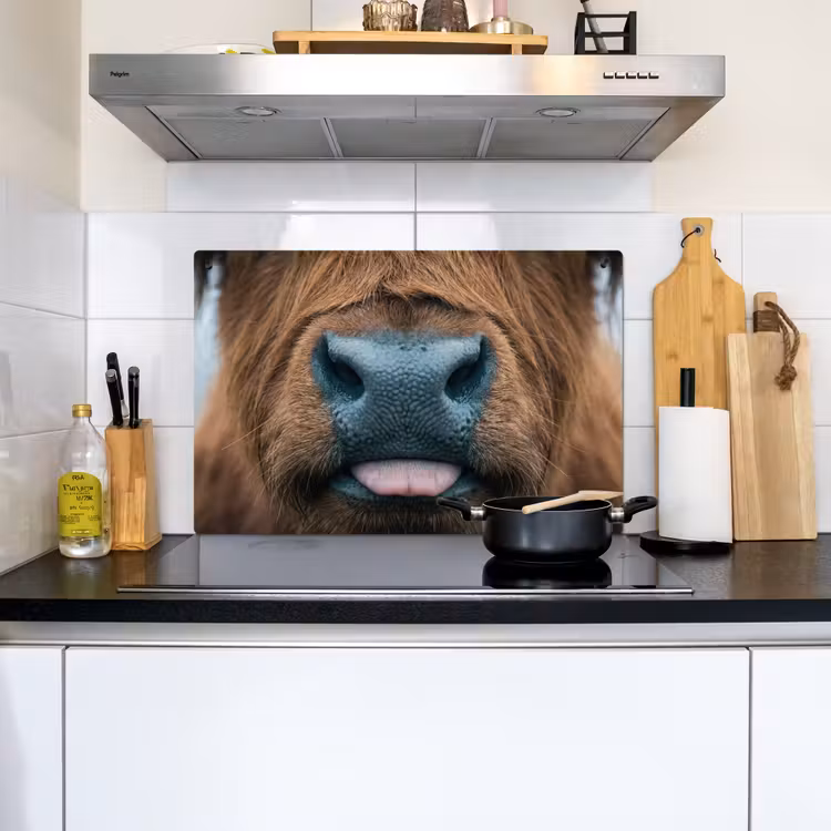 Schotse hooglander - Neus - Bruin Inductie beschemer met haakjes klein -sfeer2