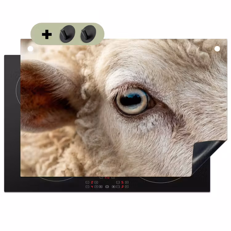 Schaap - Oog - Wit Inductie beschemer met haakjes klein -3d
