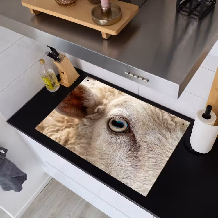 Schaap - Oog - Wit Inductie beschemer met haakjes klein -sfeer1