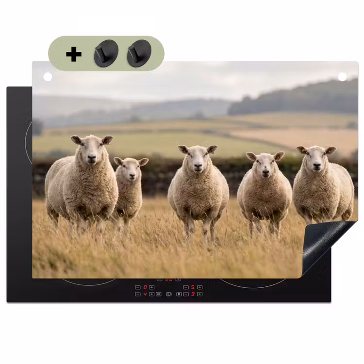 Schapen - Weidenlandschap - Heuvels Inductie beschemer met haakjes klein -3d