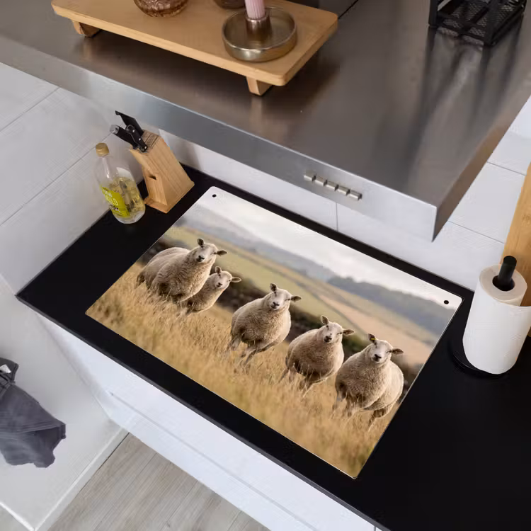 Schapen - Weidenlandschap - Heuvels Inductie beschemer met haakjes klein -sfeer1