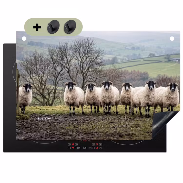 Schapen - Rij - Weide - Dieren - Platteland Inductie beschemer met haakjes klein -3d