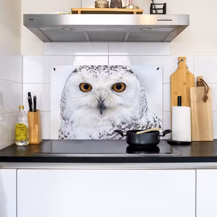Sneeuwuil - Oog - Wildlife - Wit Inductie beschemer met haakjes klein -sfeer2