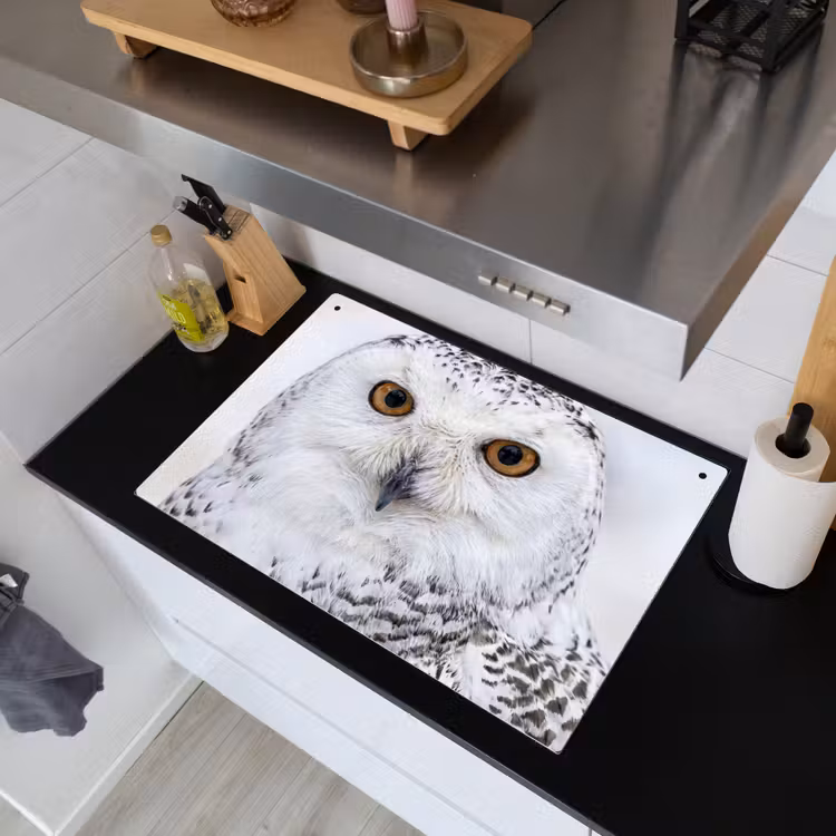 Sneeuwuil - Oog - Wildlife - Wit Inductie beschemer met haakjes klein -sfeer1