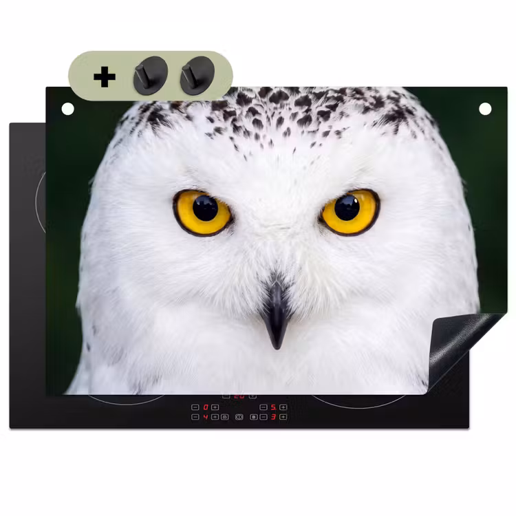 Sneeuwuil - Portret - Geel Inductie beschemer met haakjes klein -3d