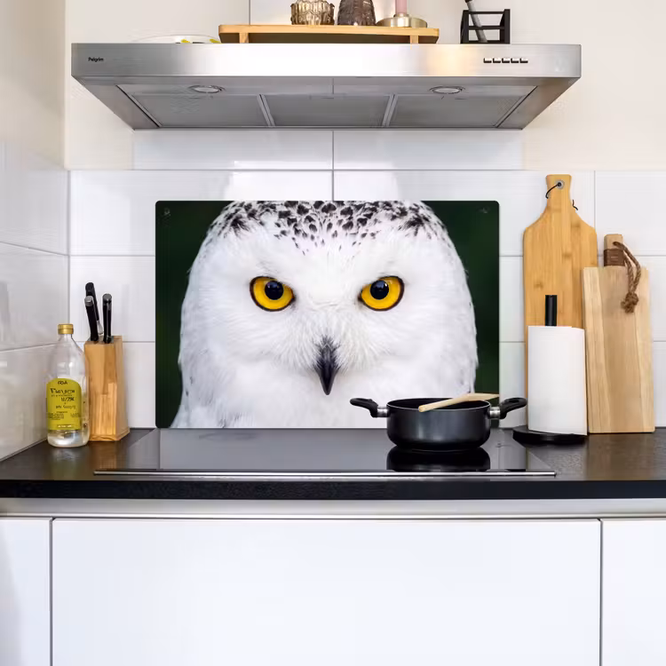 Sneeuwuil - Portret - Geel Inductie beschemer met haakjes klein -sfeer2