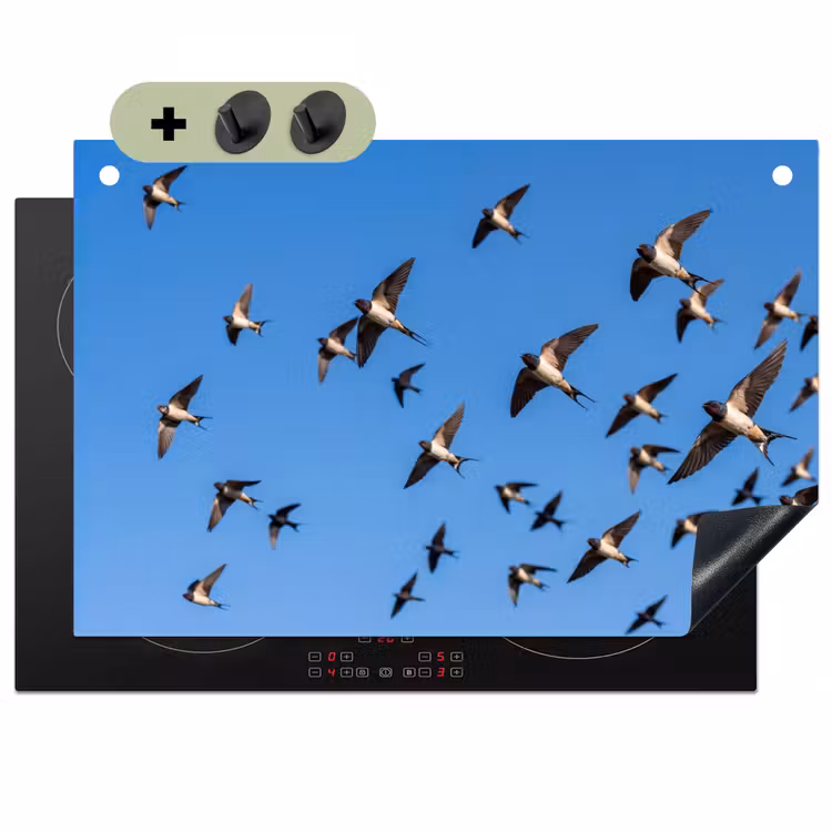Zwaluwen - Vliegen - Blauw Inductie beschemer met haakjes klein -3d