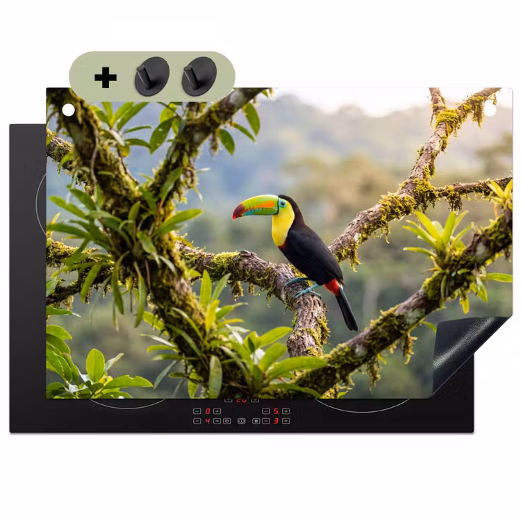Toekan - Jungle - Natuur - Kleurrijk Inductie beschemer met haakjes klein -3d