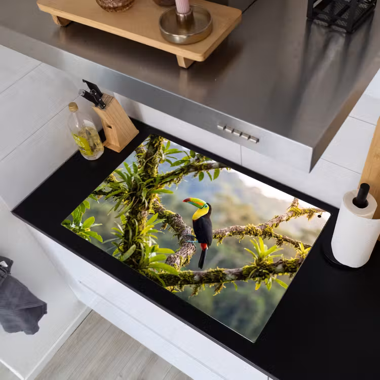 Toekan - Jungle - Natuur - Kleurrijk Inductie beschemer met haakjes klein -sfeer1