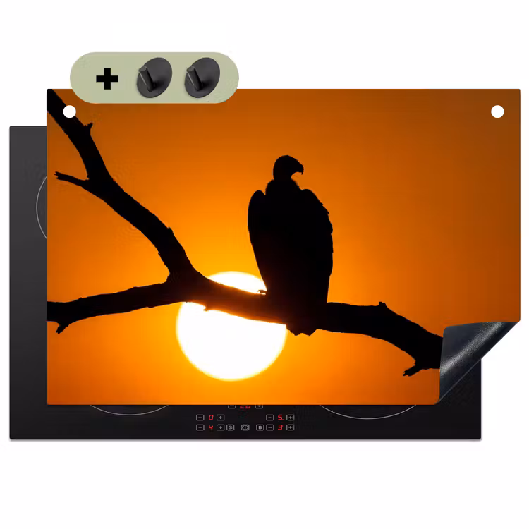 Gier - Tak - Zon - Oranje Inductie beschemer met haakjes klein -3d