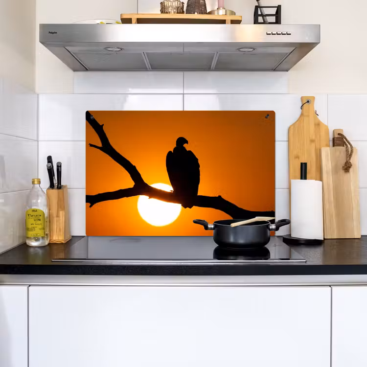 Gier - Tak - Zon - Oranje Inductie beschemer met haakjes klein -sfeer2
