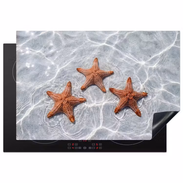 Zeesterren - Water - Helder Inductie beschermer vinyl 3mm klein -3d