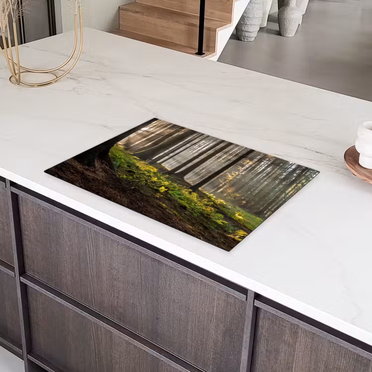 Zon - Takken - Bomen - Bos - Natuur Inductie beschermer vinyl 3mm middel -sfeer8