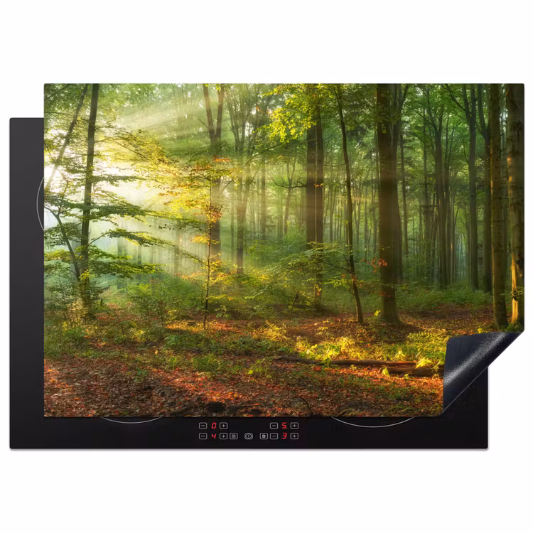 Zon - Bos - Bomen - Natuur - Herfst Inductie beschermer vinyl 3mm middel -3d