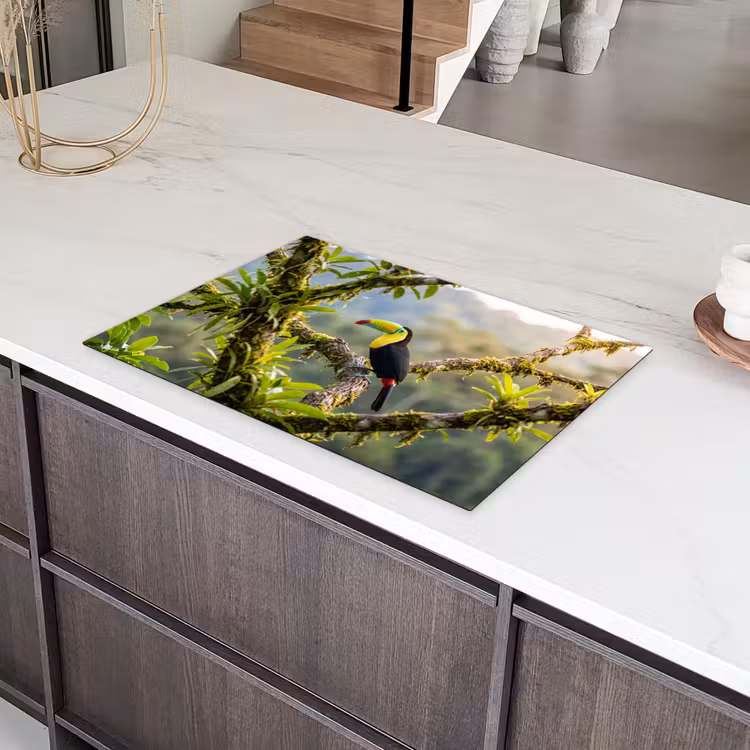 Toekan - Jungle - Natuur - Kleurrijk Inductie beschermer vinyl 3mm klein -sfeer8