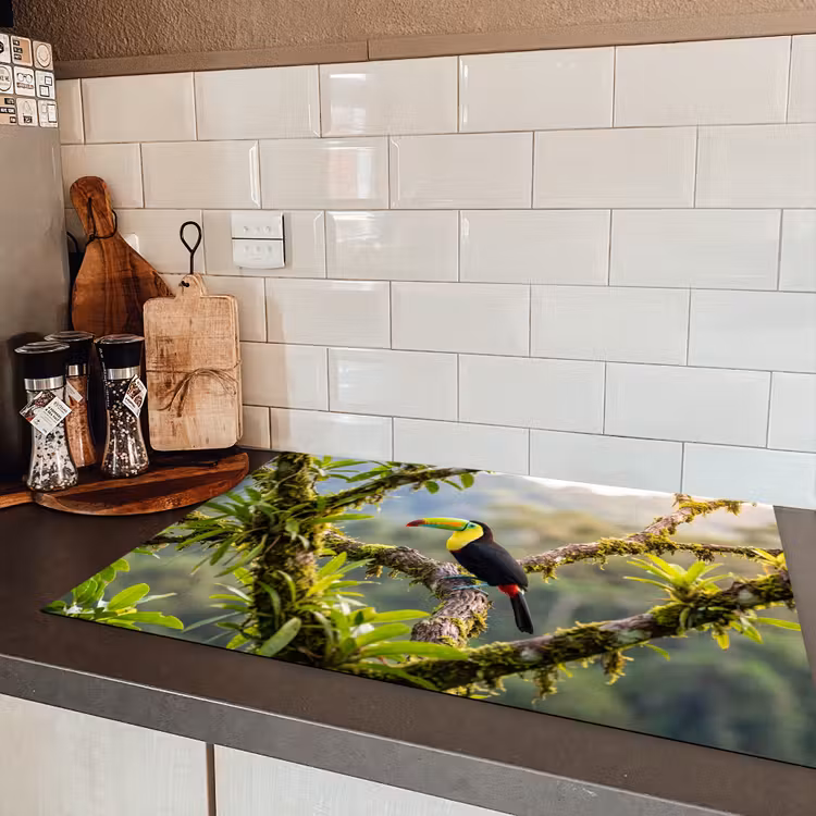 Toekan - Jungle - Natuur - Kleurrijk Inductie beschermer vinyl 3mm klein -sfeer3
