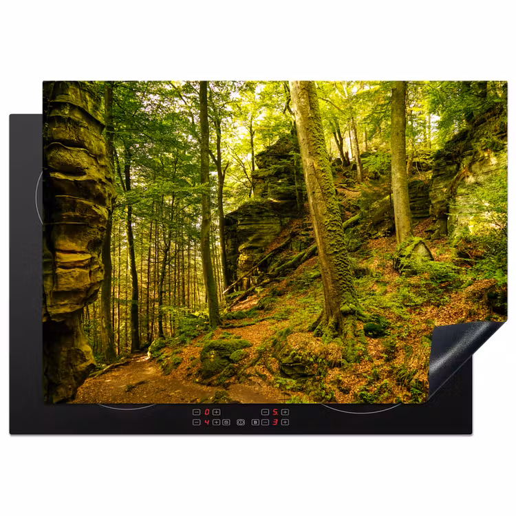 Bomen - Steen - Bos - Natuur - Planten Inductie beschermer vinyl 3mm middel -3d