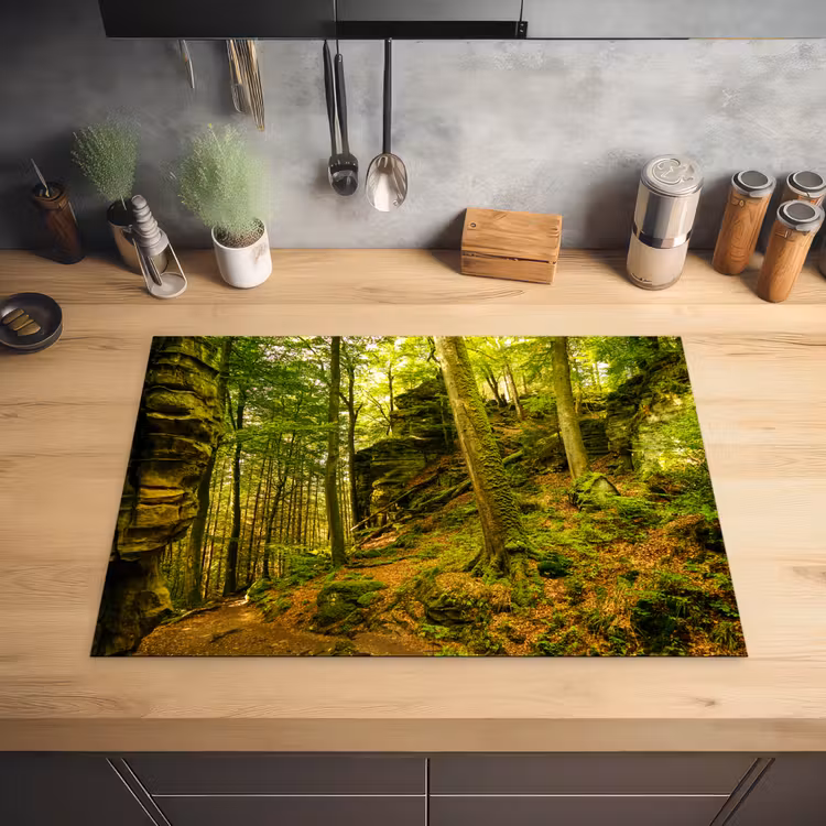 Bomen - Steen - Bos - Natuur - Planten Inductie beschermer vinyl 3mm middel -sfeer5