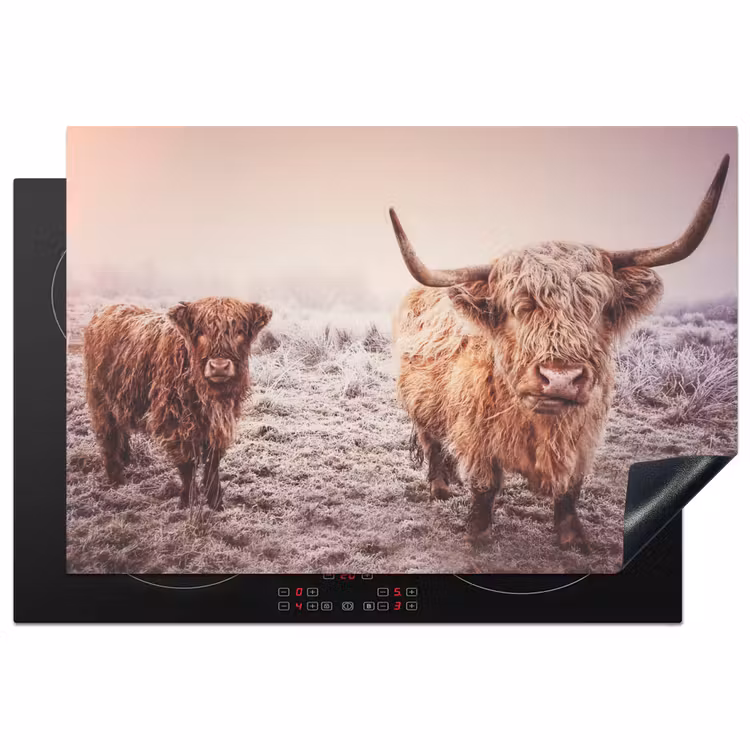 Winterse Glorie Inductie beschermer vinyl 3mm klein -3d