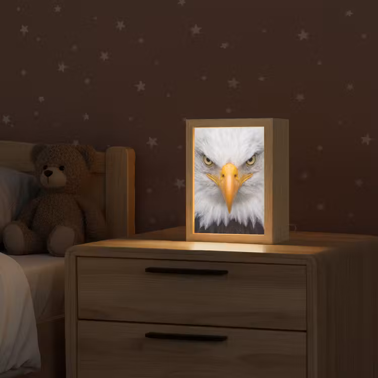 Amerikaans - Zeearend - Portret - Geel Light Box met kabel (Kinderlampje) klein -sfeer1_kind