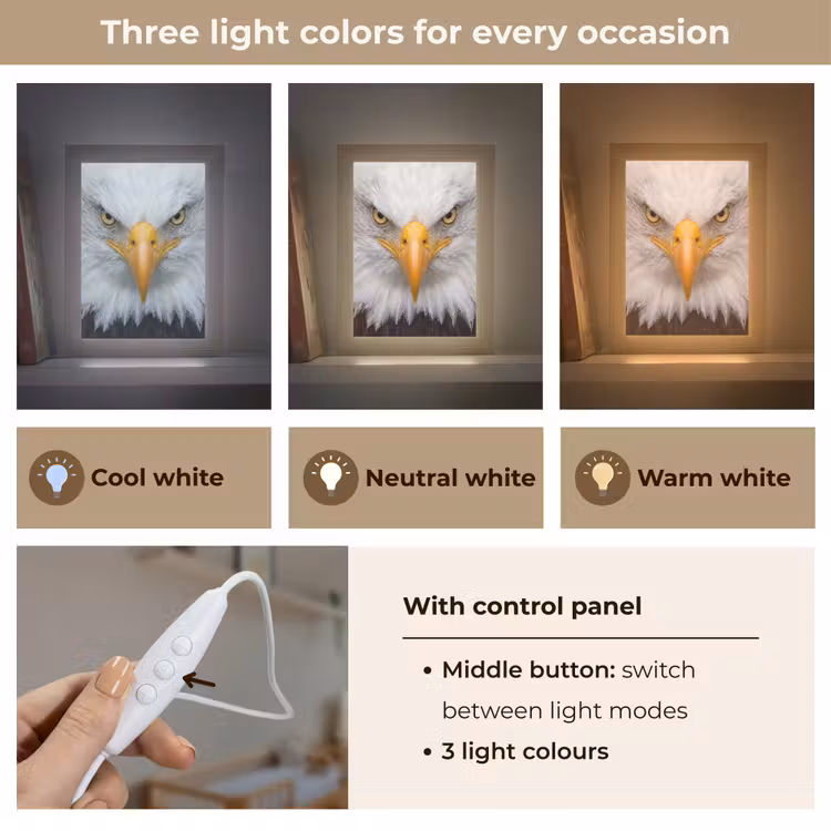 Amerikaans - Zeearend - Portret - Geel Light Box met kabel (Kinderlampje) klein -USP_lichtkleurEN